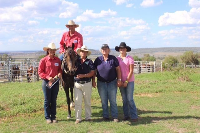 Glencoe Pillow Talk sale