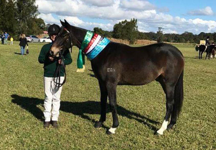 Glencoe Small Talk and Teagan Todd