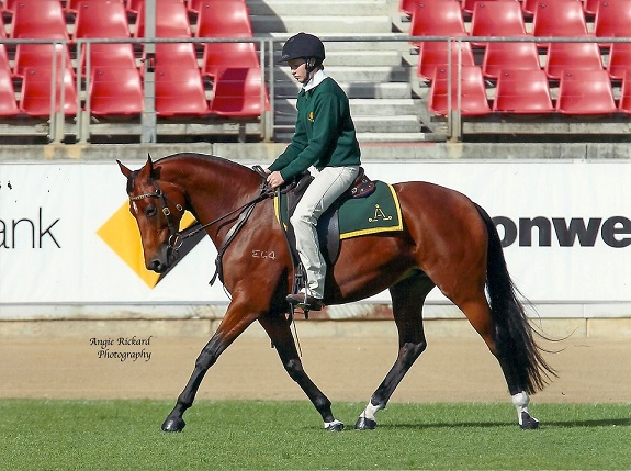 Abbey at Sydney 2014