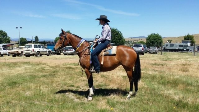 Chick Chat and Abbey