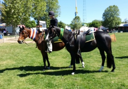 ChickChat and Uniquer