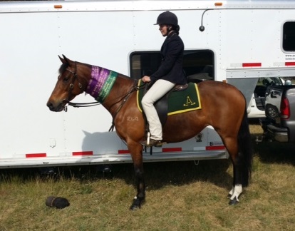 Abbey and ChickChat at The Rock Show