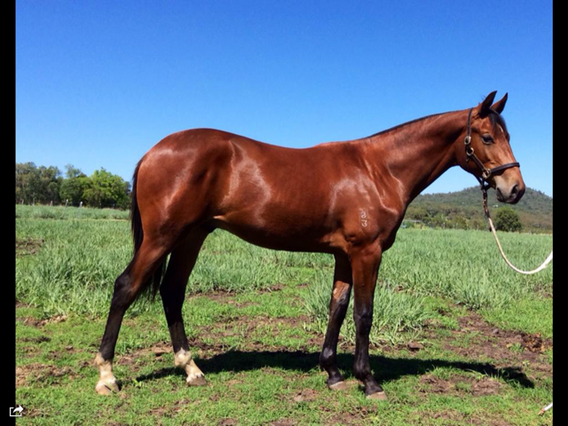 Maybe posing for sale