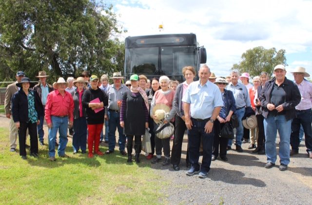 Thoroughbred bus tour