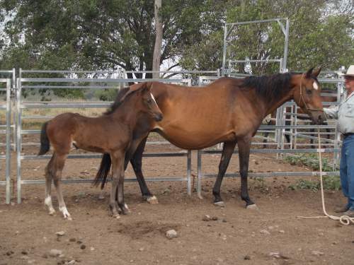 Portrait December 2012