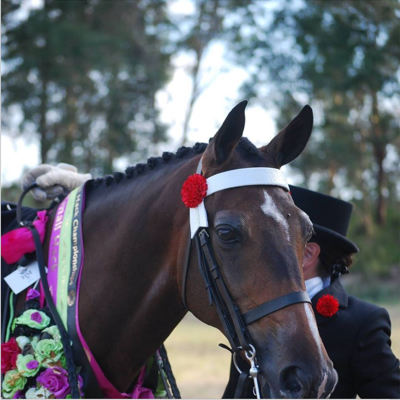 Tracie Wells and Showman