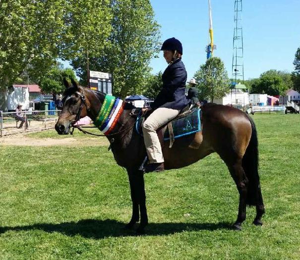 Tania Guarin and Glencoe Uptown Girl