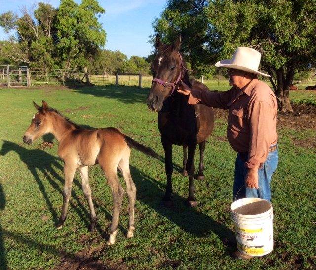 Barbie with Last Fling