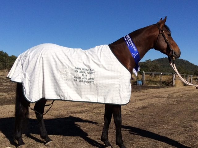 Craftsman winning rug