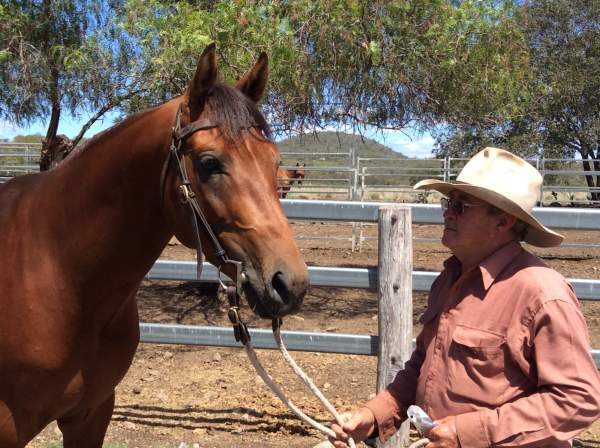 Young Glencoe Craftsman