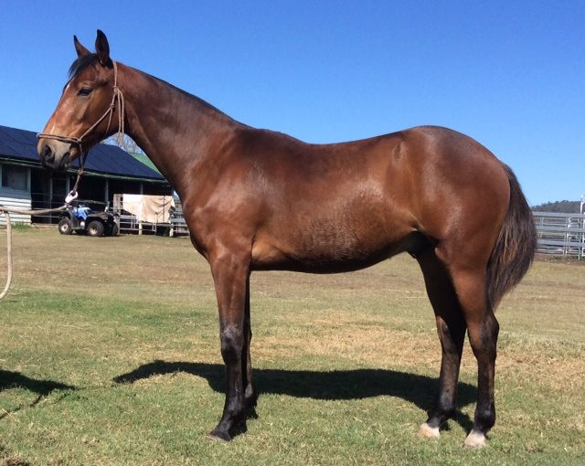 Even Better departure