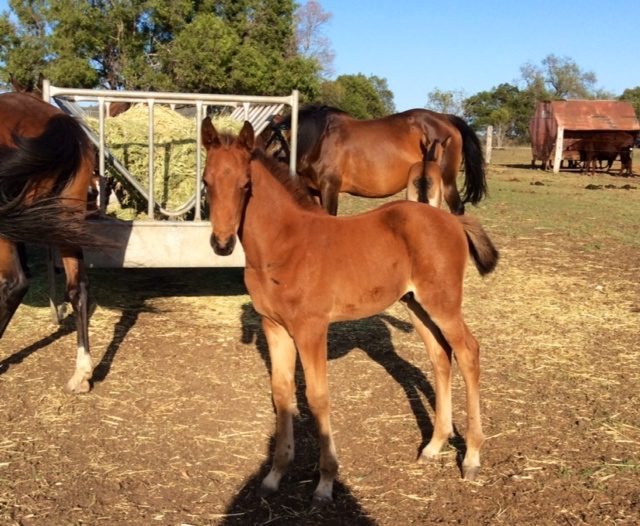 Better Still 3 weeks