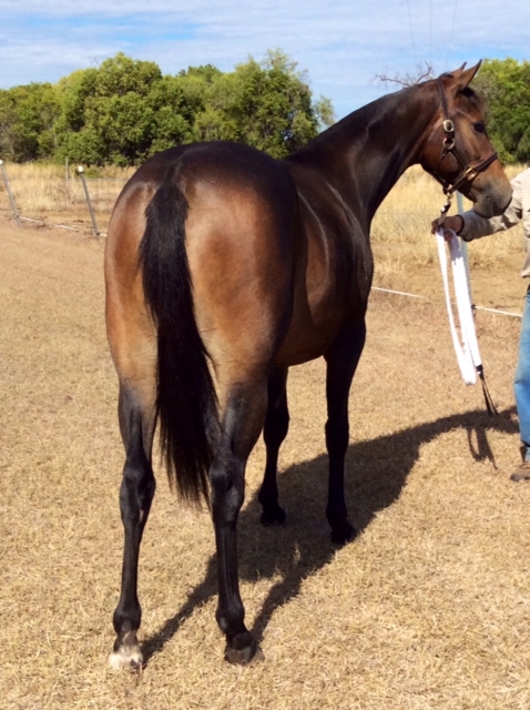 Fountain of Youth Sale Lot 79