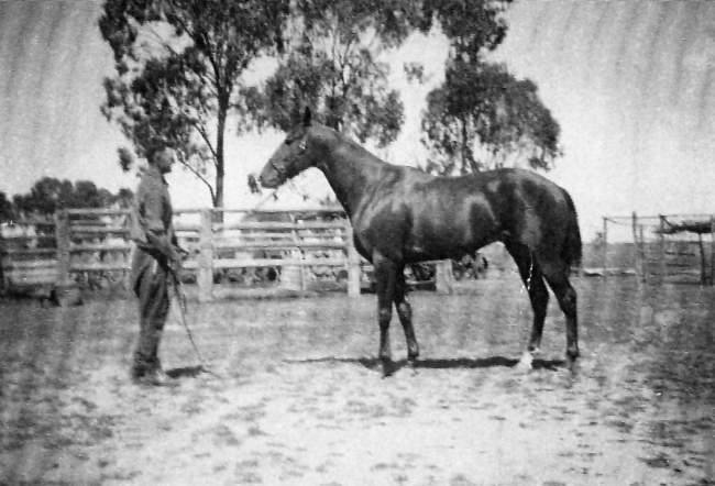 Frank Glasser and Double Buzz