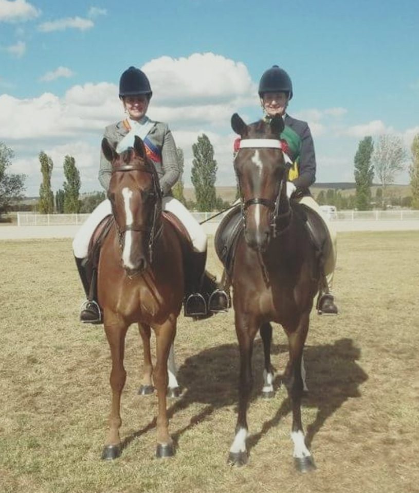 Tracie Wells Supreme Hack