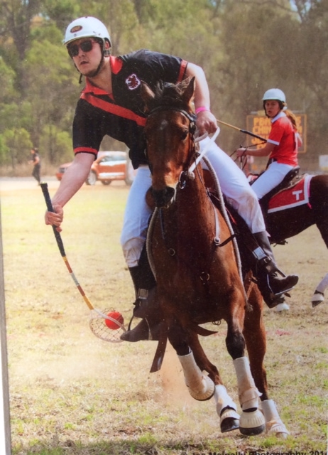 Mitchell Stark on Tarcombe Patience