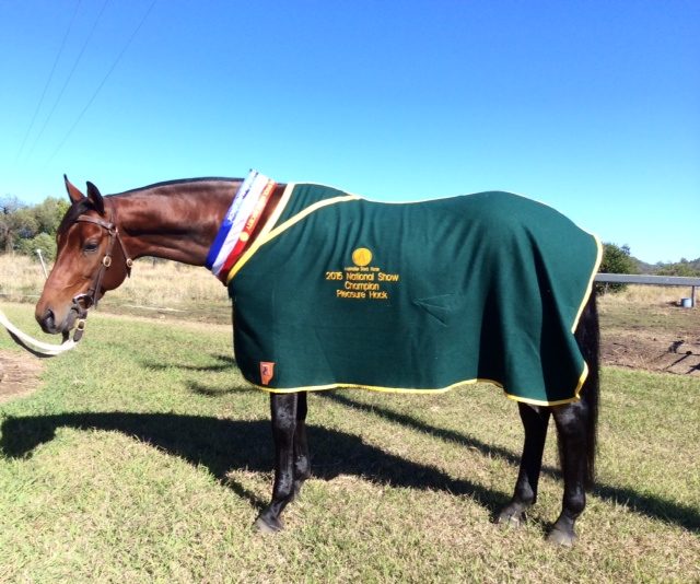 Tired Craftsman from Nationals