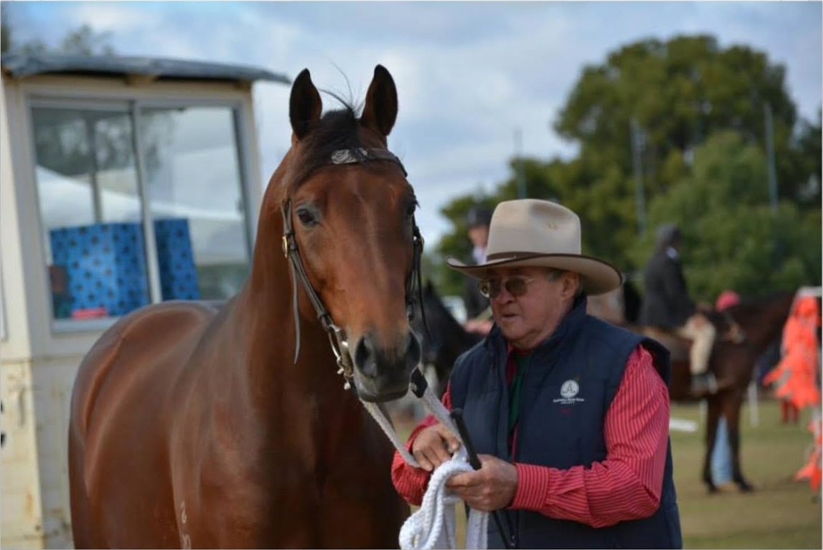 Max and Craftsman Chinchilla