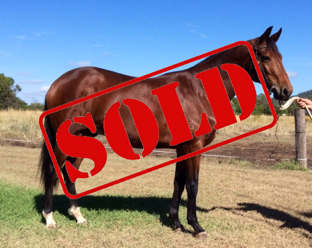 Glencoe Maybe Better