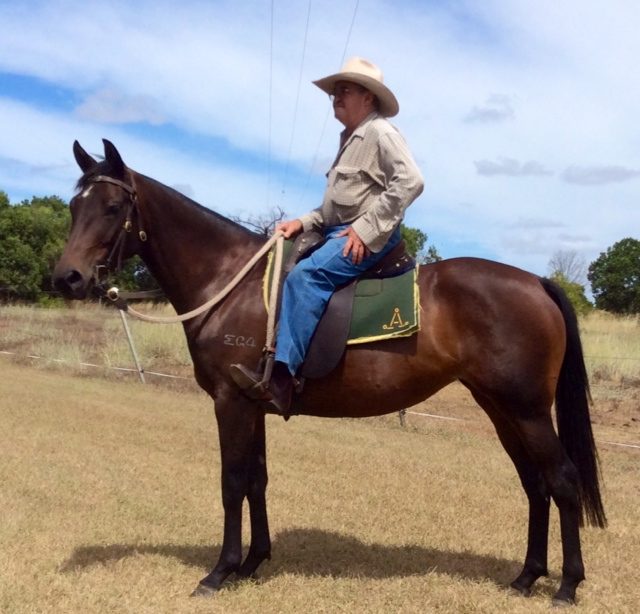 Max and Glencoe Answer