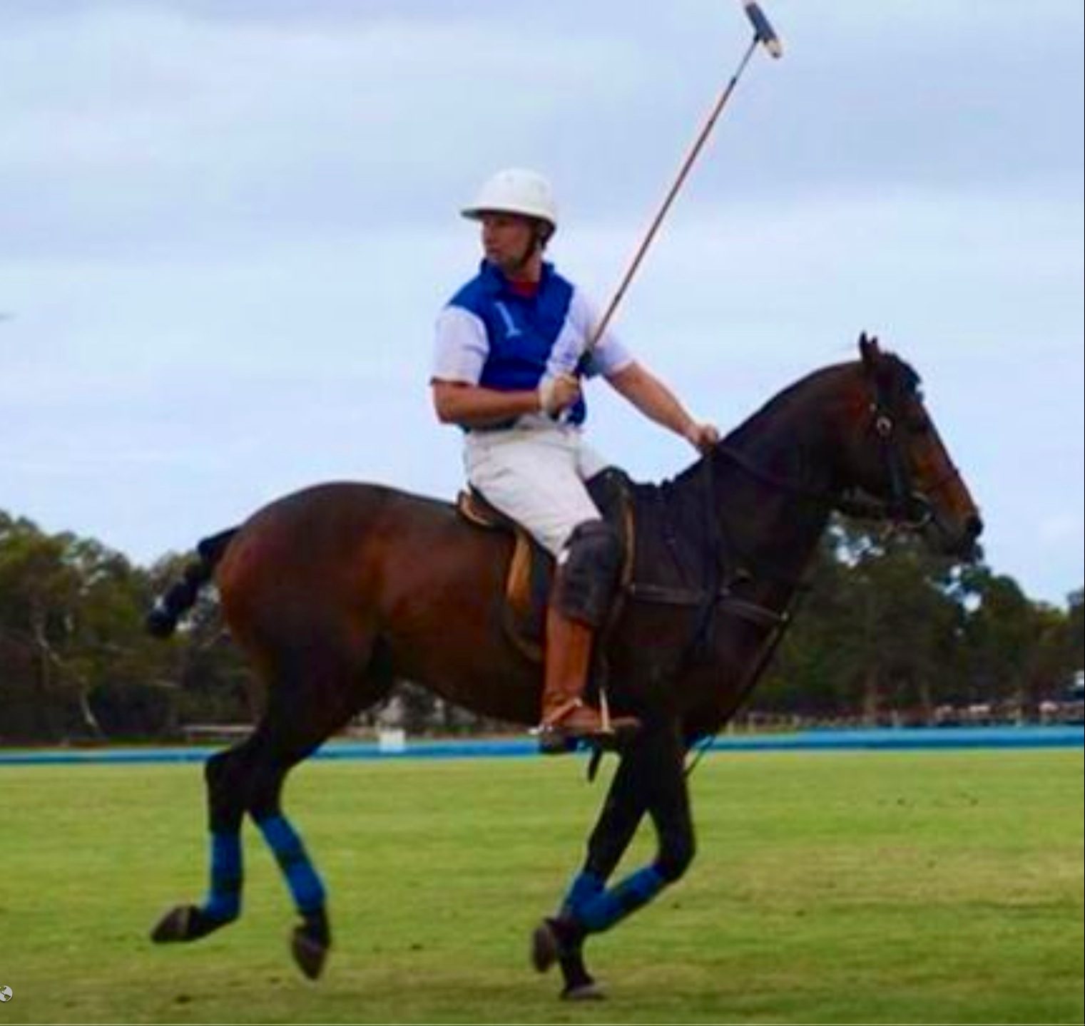 Jason and Glencoe Rembrandt polo