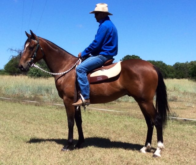 Glencoe Heads Up Lot 206