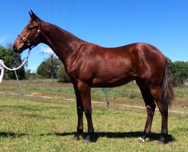 Glencoe Better Still