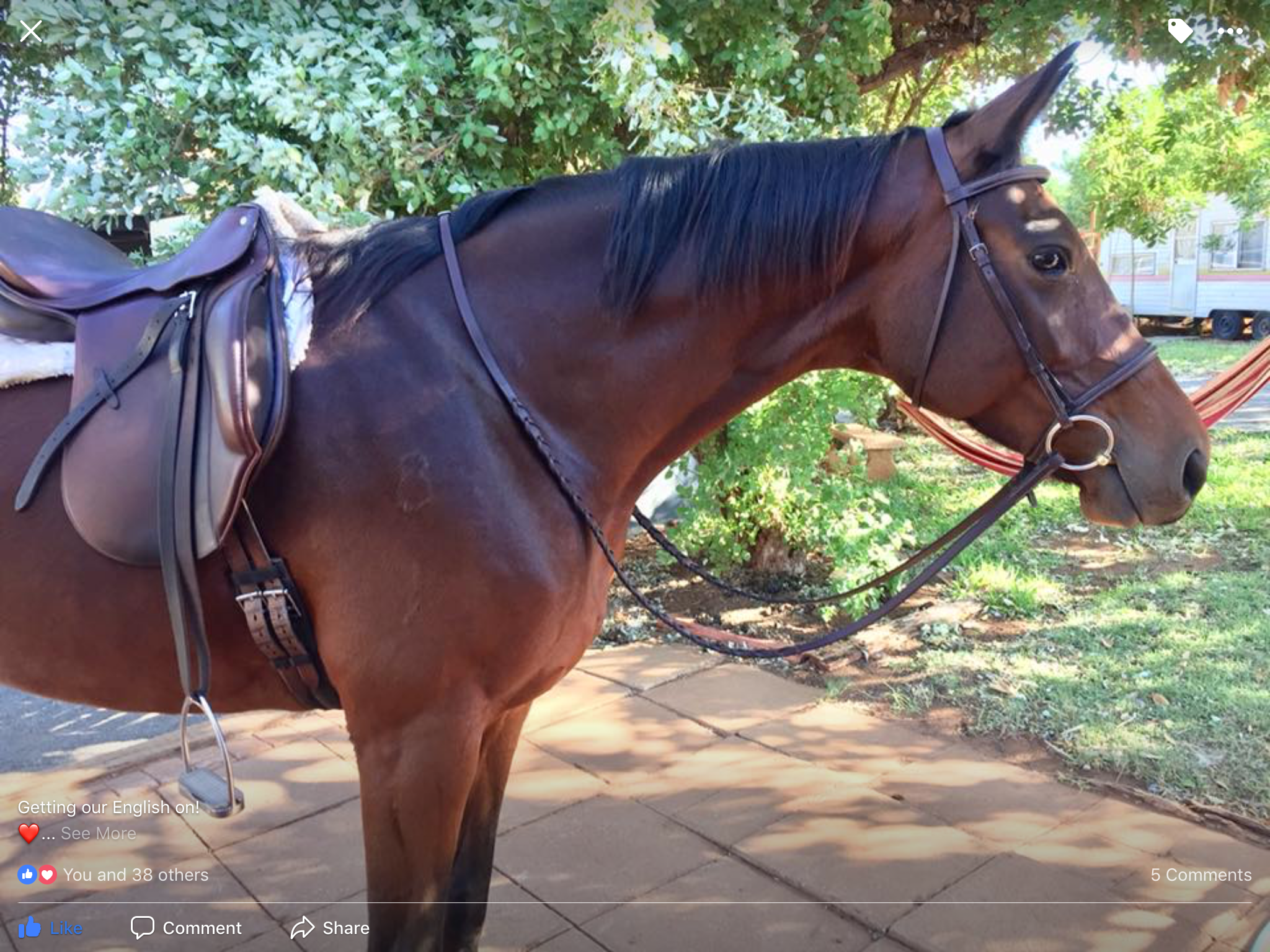 Glencoe Right as Rain
