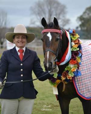 Sheady Showman with rosettes