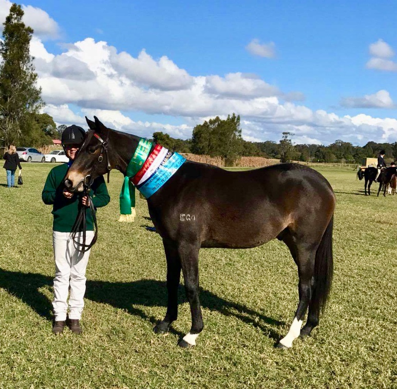 Glencoe Small Talk first show