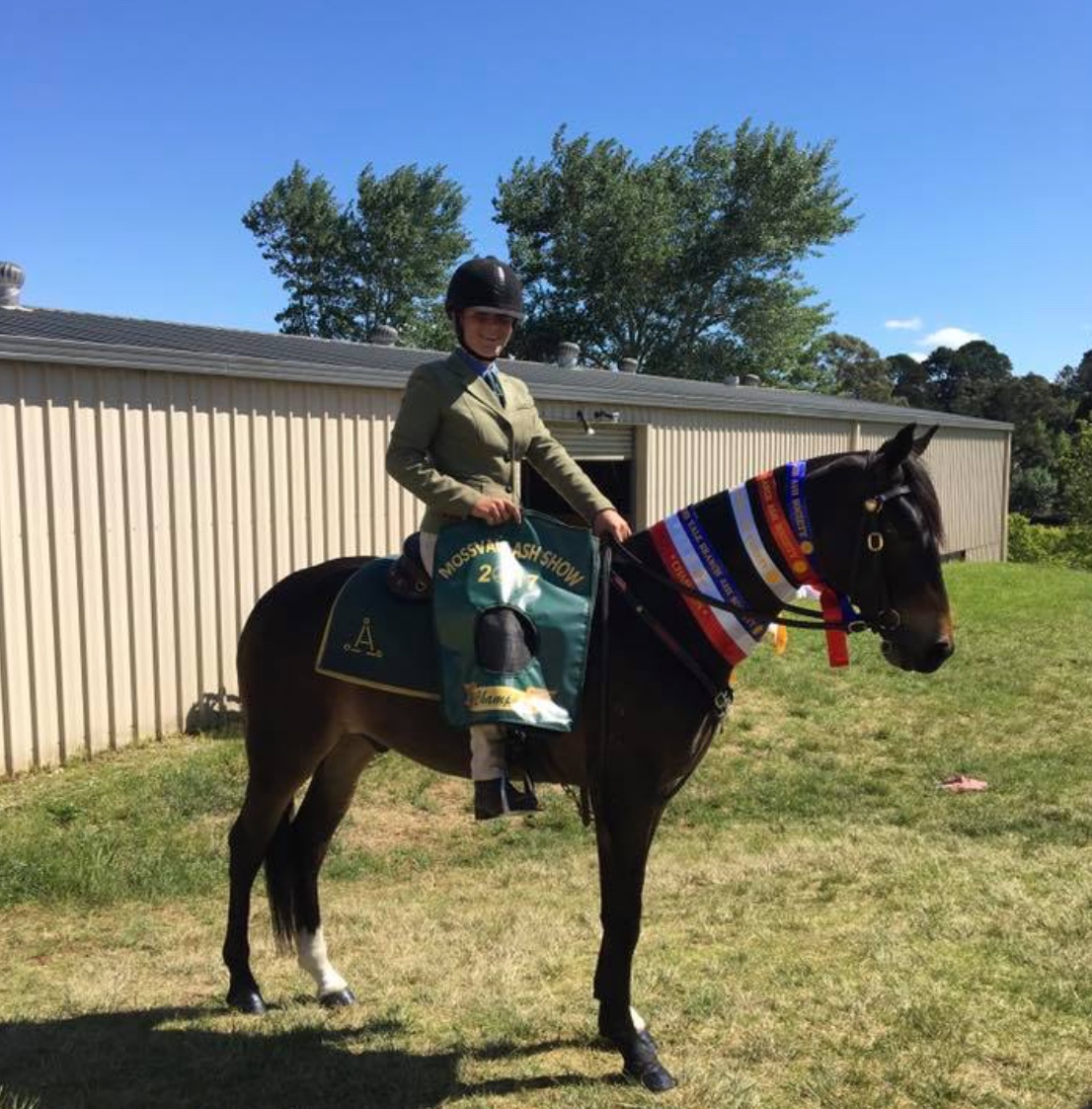 Ribbons under saddle