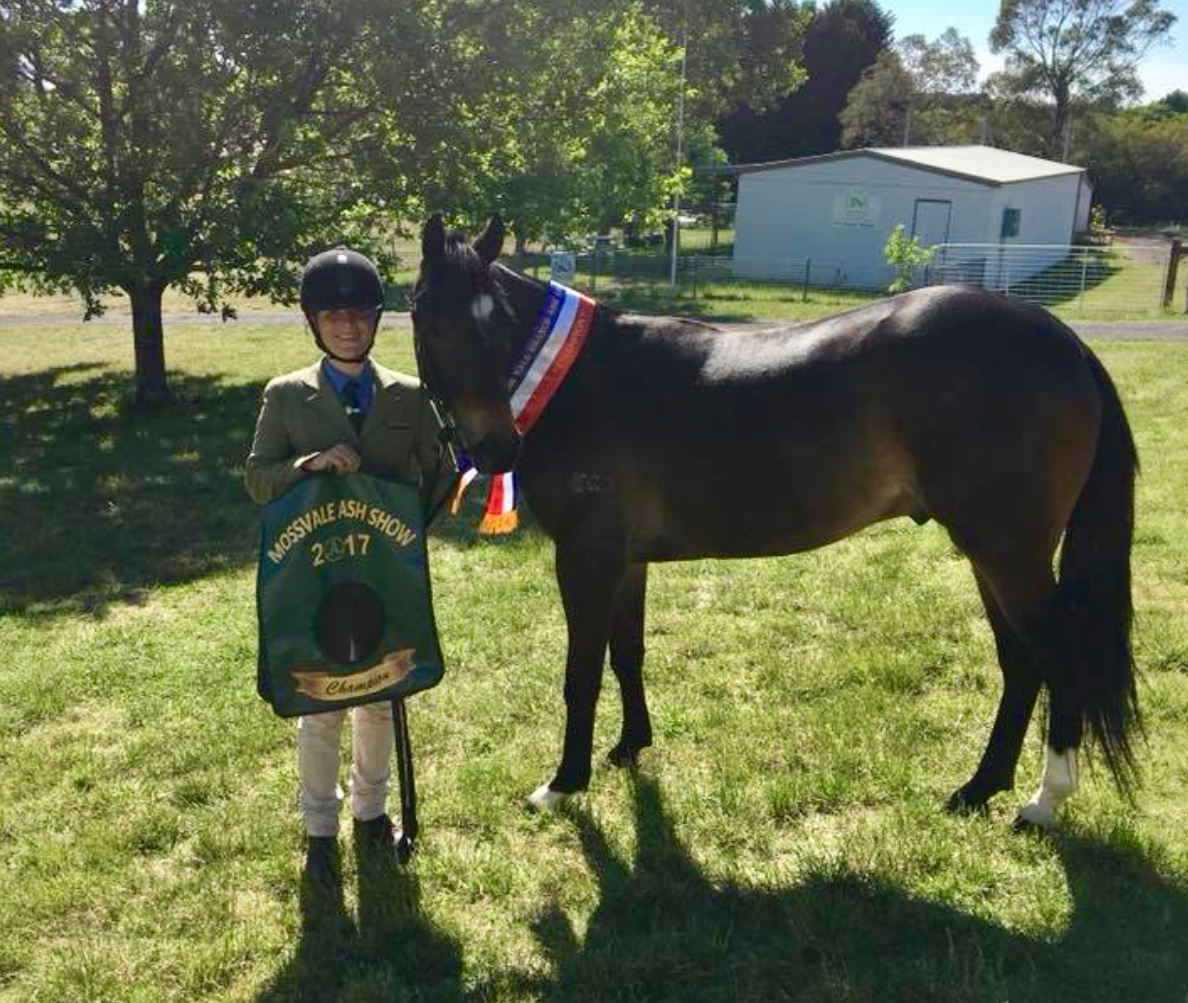 Mossvale Show ribbons