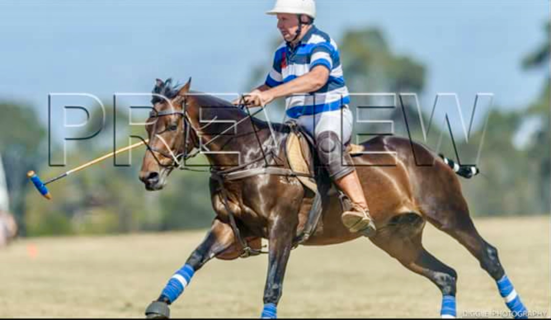 Jason Tonisson on Rembrandt